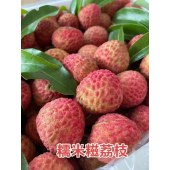 （一件代发）云蔚数字科技公司东莞荔枝（桂味、糯米糍）